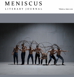 Screen shot of Meniscus Volume 9, Issue 2, cover showing seven people connected by wires